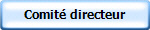 Comit directeur 
